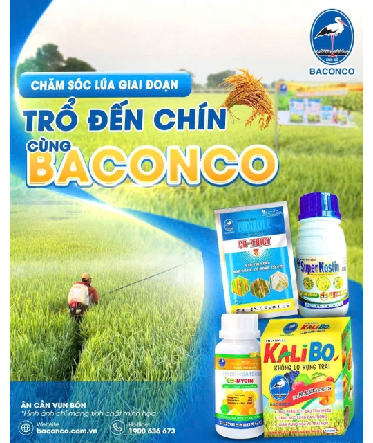 Bộ 3 Giải Pháp Toàn Diện Cho Giai Đoạn Lúa Trổ - Chín