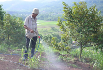 Cần đột phá sản xuất nông nghiệp an toàn, hữu cơ tại Lâm Đồng