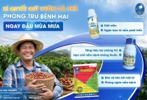 BÍ QUYẾT GIỮ VƯỜN CÀ PHÊ, PHÒNG TRỪ BỆNH HẠI NGAY ĐẦU MÙA MƯA 🌧️