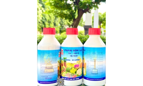 Công Ty Trương Nguyễn