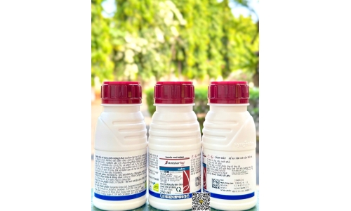 Công Ty Khử Trùng VFC