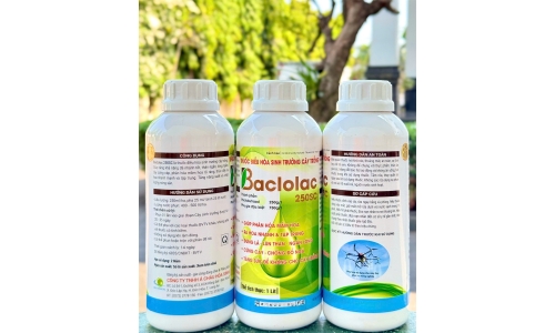 Công Ty Á Châu