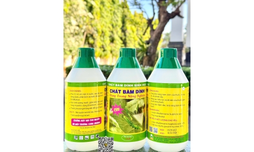 Công Ty Bình Chánh