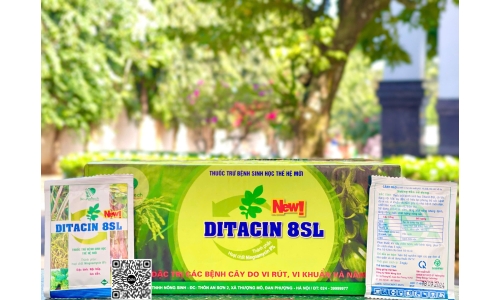 Công Ty  Nông Sinh