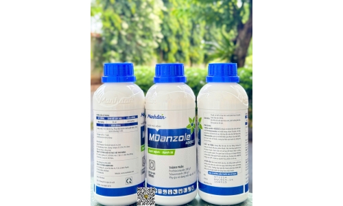 Công Ty Mạnh Đan 