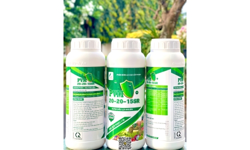 Công Ty Phú Việt Mỹ