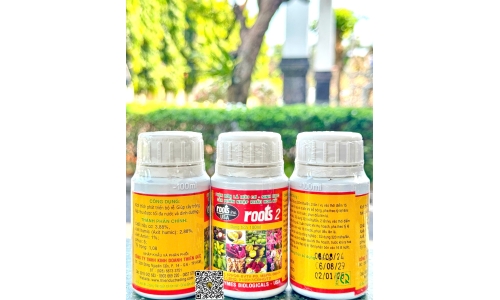 Công Ty Thiên Đức 