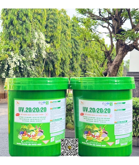 20.20.20 UV - 22kg 