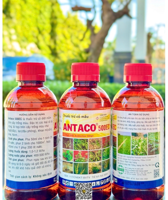 Antaco-500EC-450ml