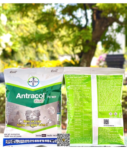 Antracol 70WP - 100gr x 100 gói