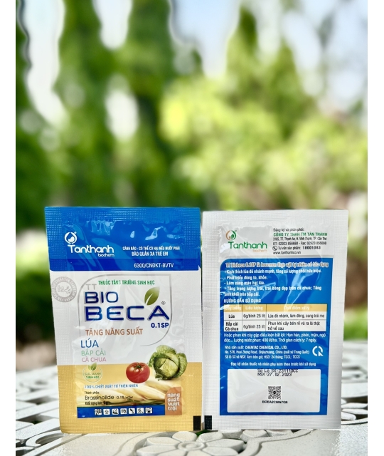 Biobeca - 6gr x 400 gói