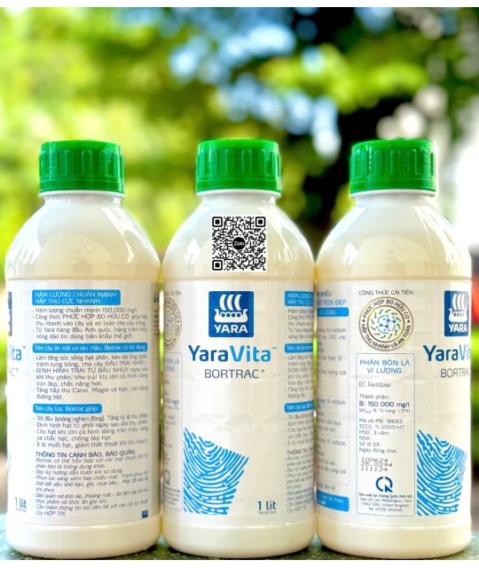 Bortrac - 1 lít x 12 chai