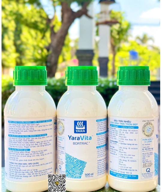 Bortrac - 500ml x 20 chai