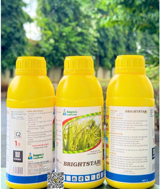 Brightstar 25SC - 1 lít x 12 chai