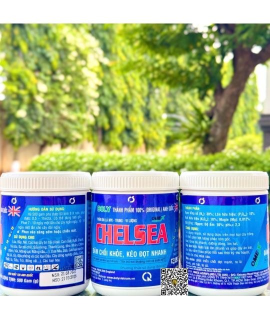 Chelsea - 500gr x 24 hộp