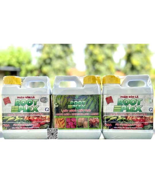 DN Root Plex - 1 lít x 12 chai