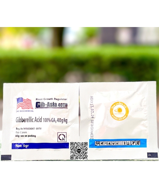 Gibber Asia 40TB Lá Cờ Mỹ - 5gr (10 bịch x 100 viên)