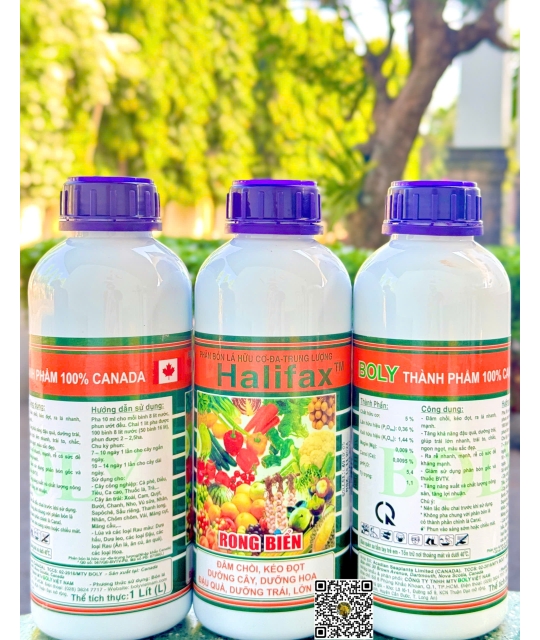 Halifax Rong Biển - 1 lít x 20 chai