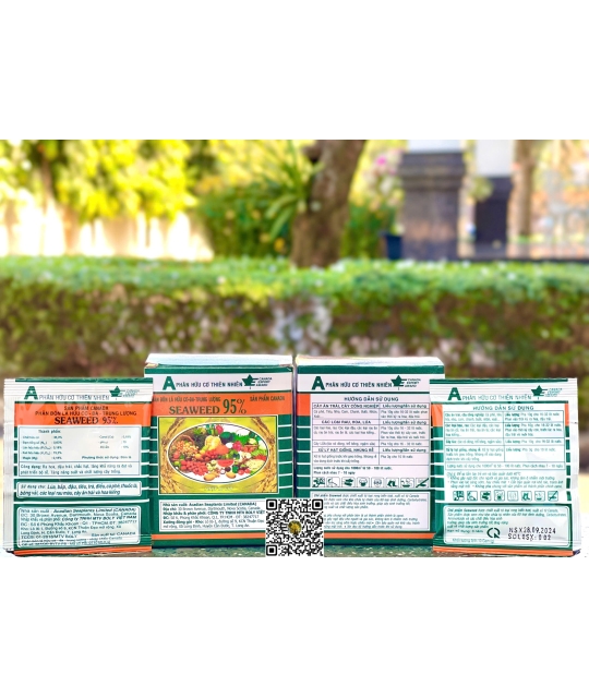 Rong Biển Seaweed - 10gr (11h x 100 gói)