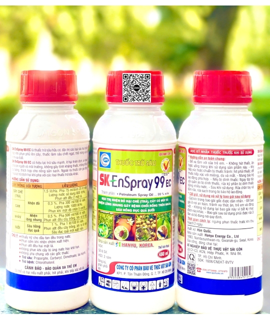 SK Enspray 99EC - 480ml x 30 chai