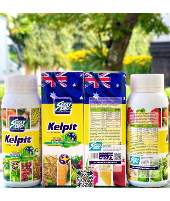 Toba - Kelpit - 500ml