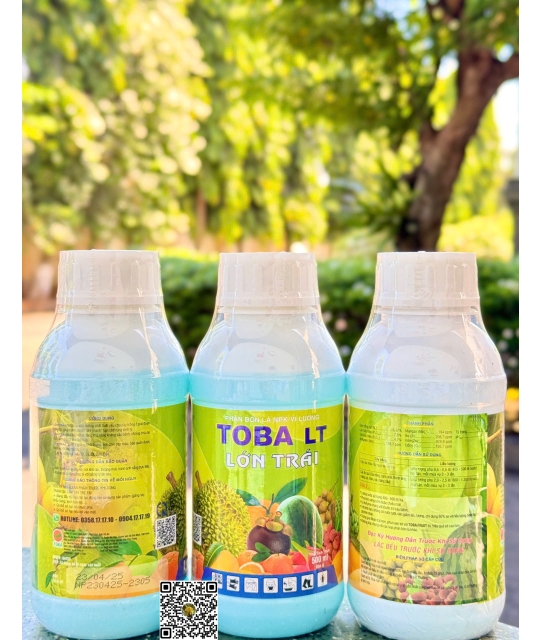 Toba - Lớn Trái - 500ml