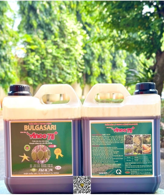 Vinco 79 Sầu Riêng - 4L Nhãn Xanh