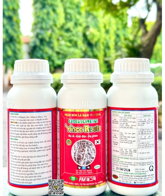 Vinco Root - 500ml x 30 chai