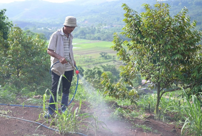 Cần đột phá sản xuất nông nghiệp an toàn, hữu cơ tại Lâm Đồng