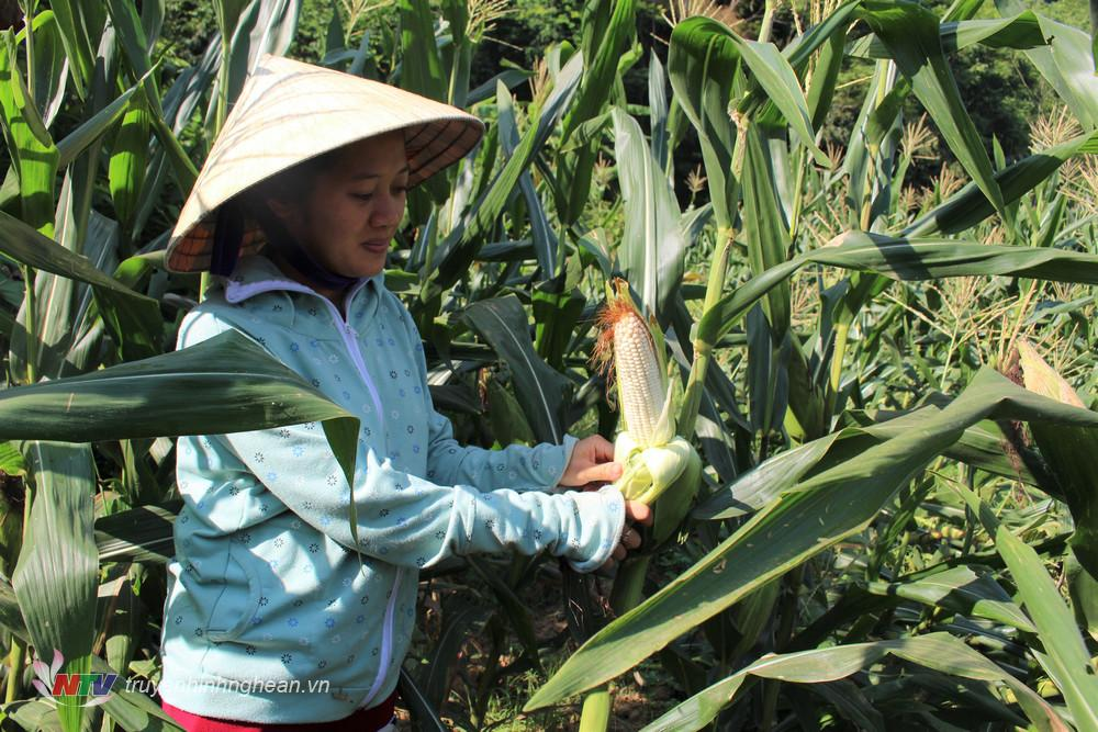 Cô Năm - Xuân Lộc, Đồng Nai