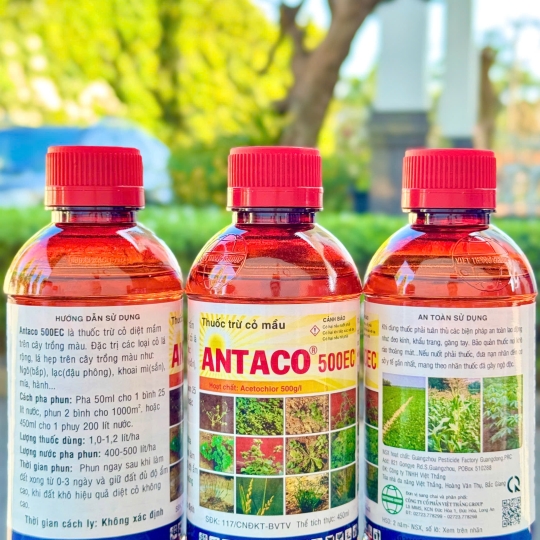 Antaco-500EC-450ml