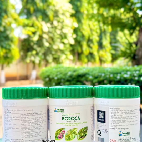 Boroca - 250gr x 72 hũ