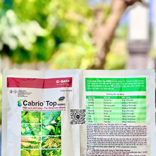 Cabrio Top 600WG - 100gr