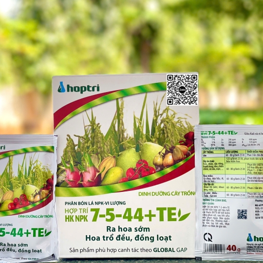 HK 7.5.44 + TE - 40gr ( 12h x 25 gói )