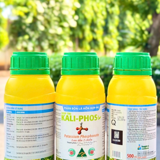 Kali Phos - 500ml x 20 chai