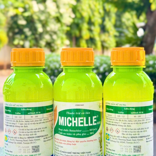 Michelle 62EC - 500ml x 20 chai