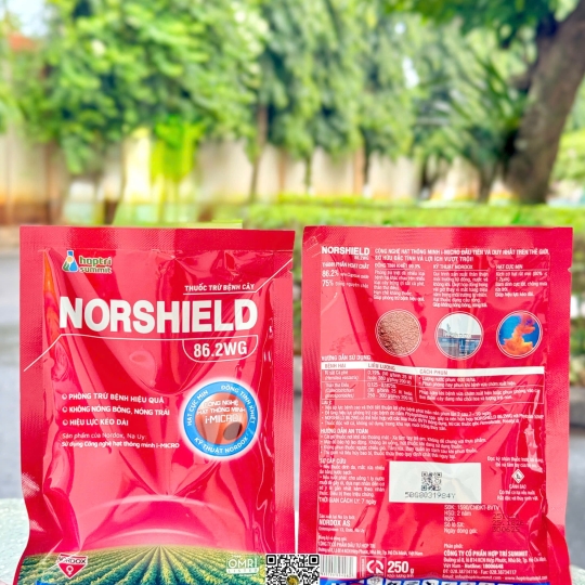 Norshield 86.2 WG - 250gr New x 50 gói