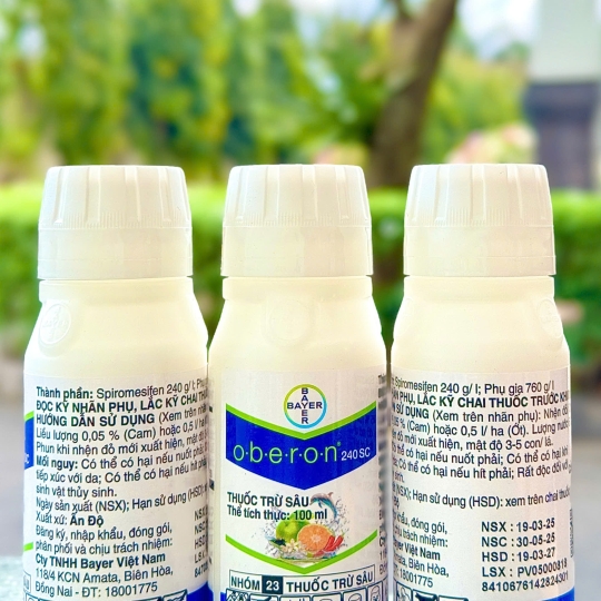 Oberon 240SC - 100ml x 100 chai