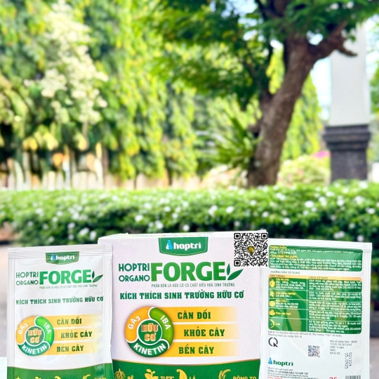 Organo Forge - 25ml x 400 gói