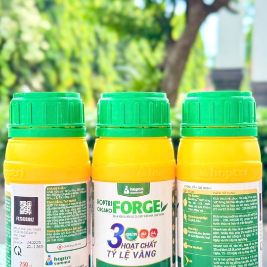 Organo Forge - 250ml x 40 chai