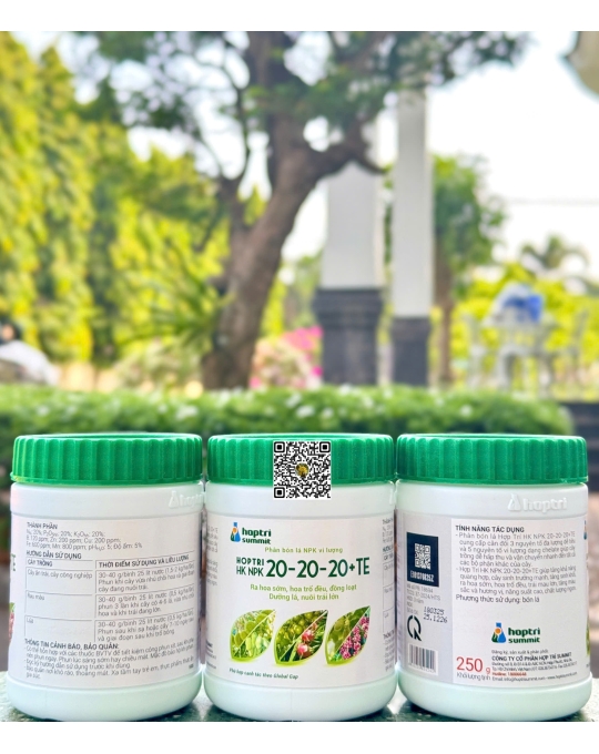 HK NPK 20-20-20 - 250gr + TE x 72 hũ