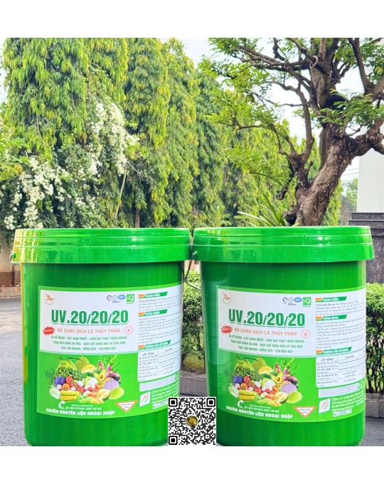 20.20.20 UV - 22kg 
