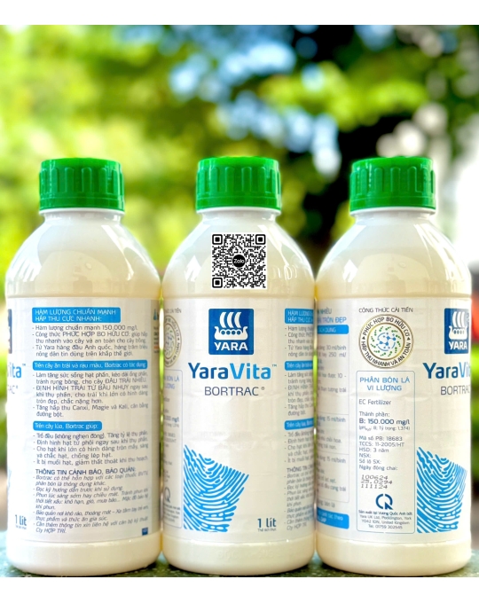 Bortrac - 1 lít x 12 chai