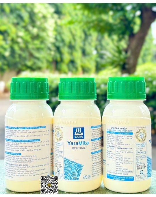 Bortrac - 250ml x 40 chai