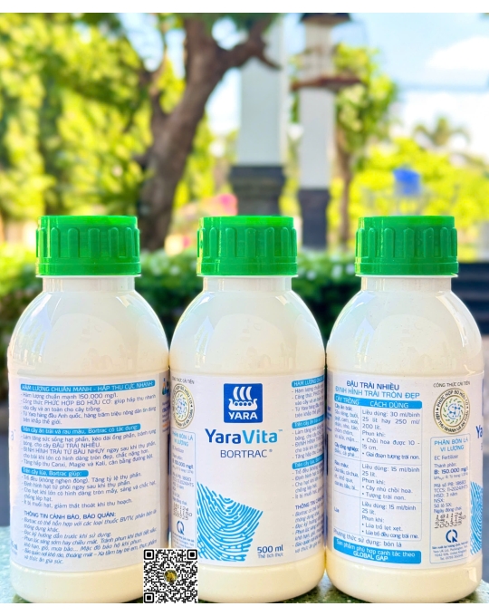 Bortrac - 500ml x 20 chai