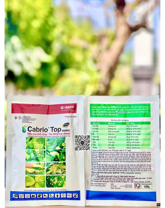 Cabrio Top 600WG - 100gr