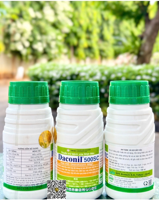 Daconil 500SC - 240ml x 40 chai