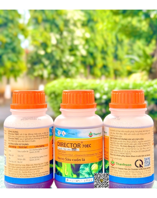 Director 70EC - 250ml