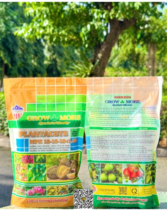 DN 15.15.15 - 1kg x 10 gói