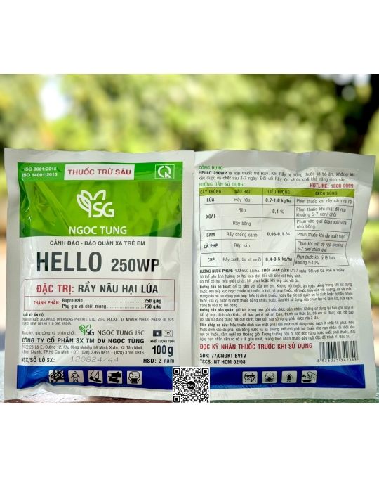 Hello 250WP - 100gr (4h x 25 gói)